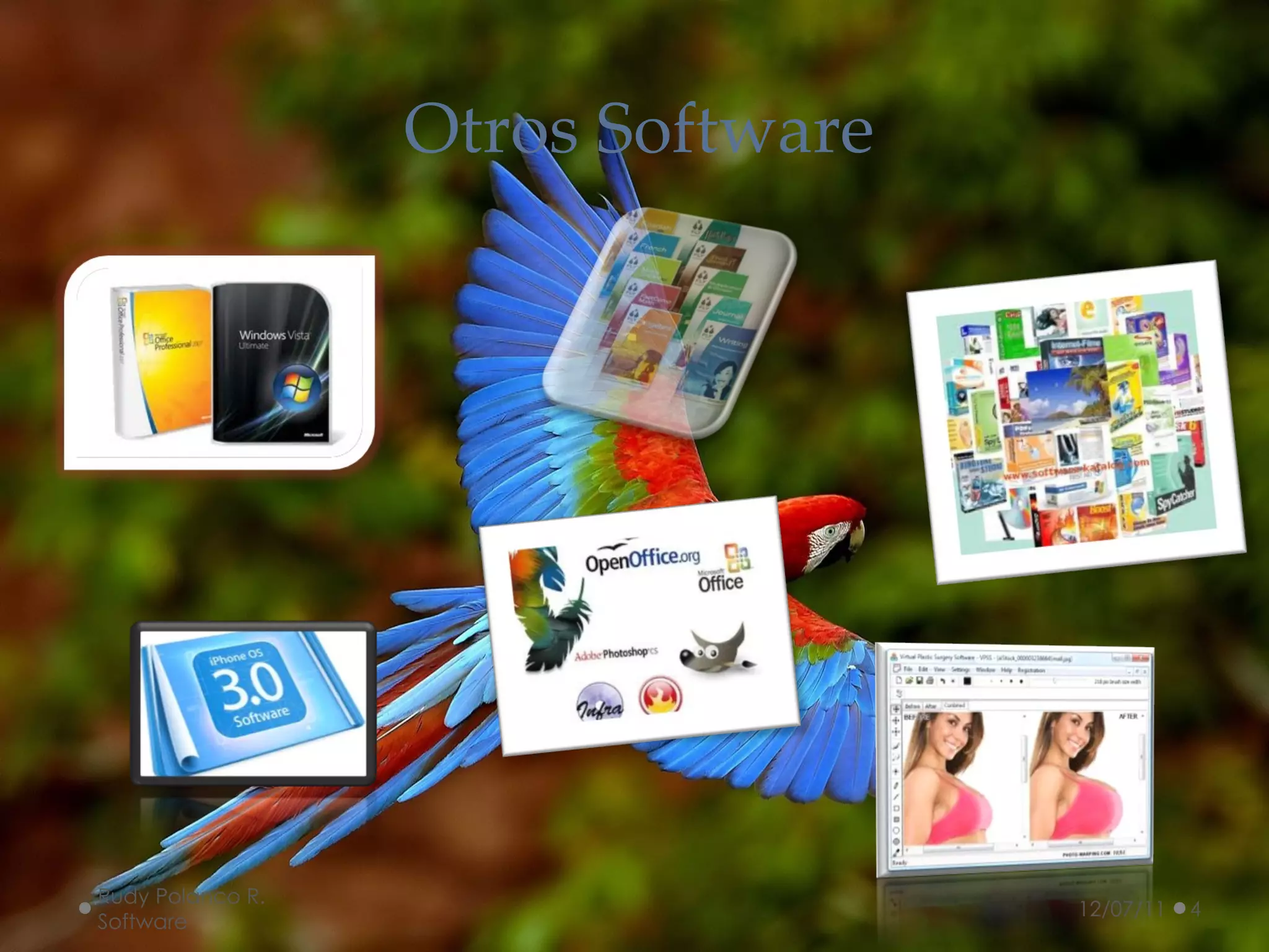 Otros Software 12/07/11 Rudy Polanco R.  Software 