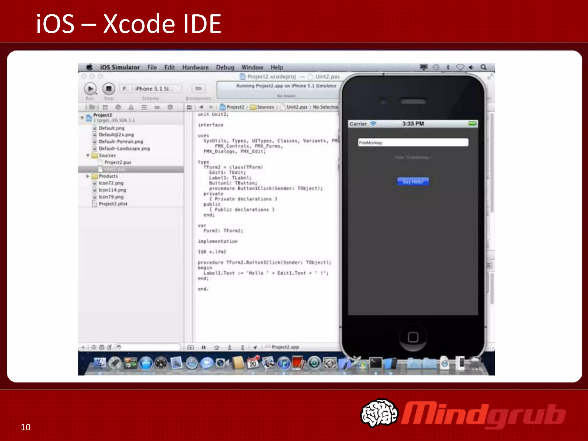 iOS – Xcode IDE




10
 