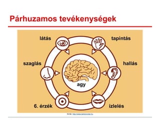Párhuzamos tevékenységek
forrás: http://www.tankonyvtar.hu
 