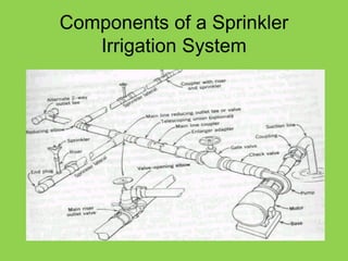 1,000+ Irrigation System Drawing Illustrations, Royalty-Free Vector  Graphics & Clip Art - iStock