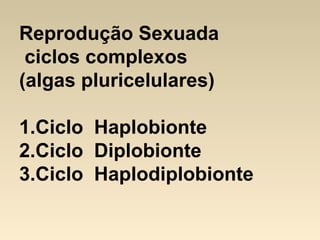 Reprodução Sexuada
ciclos complexos
(algas pluricelulares)
1.Ciclo Haplobionte
2.Ciclo Diplobionte
3.Ciclo Haplodiplobionte
 