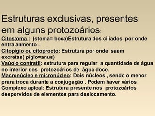 Estruturas exclusivas, presentes
em alguns protozoários:
Citostoma : (stoma= boca)Estrutura dos ciliados por onde
entra alimento .
Citopigio ou citoprocto: Estrutura por onde saem
excretas( pigio=anus)
Vaúolo contratil: estrutura para regular a quantidade de água
no interior dos protozoários de água doce.
Macronúcleo e micronúcleo: Dois núcleos , sendo o menor
prara troca durante a conjugação . Podem haver vários
Complexo apical: Estrutura presente nos protozoários
desporvidos de elementos para deslocamento.
 