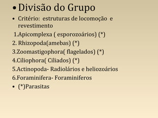 •Divisão do Grupo
• Critério: estruturas de locomoção e
revestimento
1.Apicomplexa ( esporozoários) (*)
2. Rhizopoda(amebas) (*)
3.Zoomastigophora( flagelados) (*)
4.Ciliophora( Ciliados) (*)
5.Actinopoda- Radiolários e heliozoários
6.Foraminifera- Foraminiferos
• (*)Parasitas
 