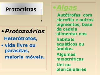 ProtoctistasProtoctistas
•Protozoários
Heterótrofos,
• vida livre ou
parasitas,
maioria móveis.
•Algas
Autótrofas com
clorofila e outros
pigmentos, base
da cadeia
alimentar nos
habitats
aquáticos ou
úmidos.
Algumas
mixotróficas
Uni ou
pluricelulares
 