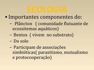 ECOLOGiA
• Importantes componentes do:
– Plâncton ( comunidade flutuante de
ecossitemas aquáticos)
– Bentos ( vivem no substrato)
– Do solo
– Participam de associações
simbióticas( parasitismo, mutualismo
e protocooperação)
 