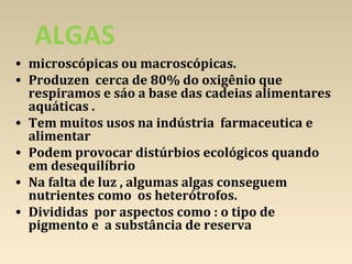 ALGAS
• microscópicas ou macroscópicas.
• Produzen cerca de 80% do oxigênio que
respiramos e sáo a base das cadeias alimentares
aquáticas .
• Tem muitos usos na indústria farmaceutica e
alimentar
• Podem provocar distúrbios ecológicos quando
em desequilíbrio
• Na falta de luz , algumas algas conseguem
nutrientes como os heterótrofos.
• Divididas por aspectos como : o tipo de
pigmento e a substância de reserva
 