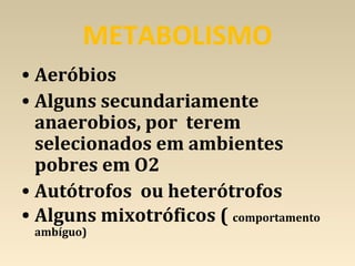 METABOLISMO
• Aeróbios
• Alguns secundariamente
anaerobios, por terem
selecionados em ambientes
pobres em O2
• Autótrofos ou heterótrofos
• Alguns mixotróficos ( comportamento
ambíguo)
 