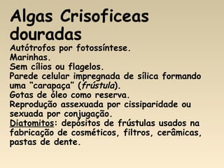 Algas Crisoficeas
douradas
Autótrofos por fotossíntese.
Marinhas.
Sem cílios ou flagelos.
Parede celular impregnada de sílica formando
uma “carapaça” (frústula).
Gotas de óleo como reserva.
Reprodução assexuada por cissiparidade ou
sexuada por conjugação.
Diatomitos: depósitos de frústulas usados na
fabricação de cosméticos, filtros, cerâmicas,
pastas de dente.
 