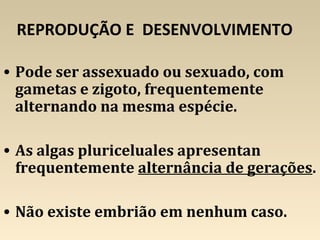 REPRODUÇÃO E DESENVOLVIMENTO
• Pode ser assexuado ou sexuado, com
gametas e zigoto, frequentemente
alternando na mesma espécie.
• As algas pluriceluales apresentan
frequentemente alternância de gerações.
• Não existe embrião em nenhum caso.
 