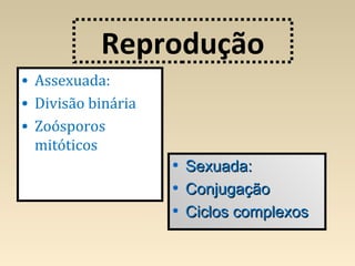 Reprodução
• Assexuada:
• Divisão binária
• Zoósporos
mitóticos
• Sexuada:Sexuada:
• ConjugaçãoConjugação
• Ciclos complexosCiclos complexos
 