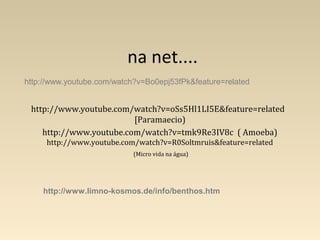 http://www.youtube.com/watch?v=oSs5Hl1LI5E&feature=related
[Paramaecio)
http://www.youtube.com/watch?v=tmk9Re3IV8c ( Amoeba)
http://www.youtube.com/watch?v=R0Soltmruis&feature=related
(Micro vida na água)
http://www.youtube.com/watch?v=Bo0epj53fPk&feature=related
http://www.limno-kosmos.de/info/benthos.htm
na net....
 