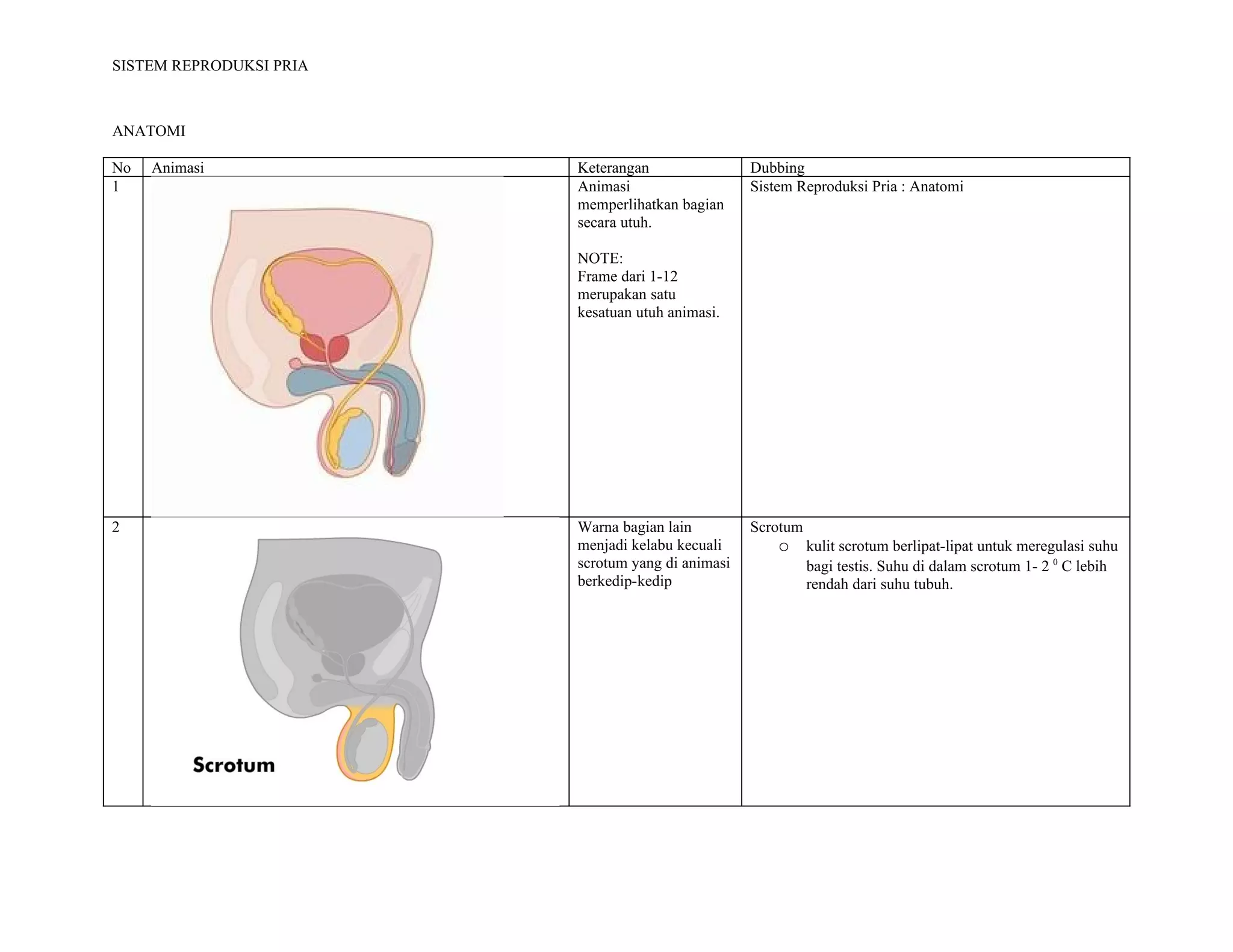 SISTEM REPRODUKSI PRIA



ANATOMI

No   Animasi             Keterangan                Dubbing
1                        Animasi                   Sistem Reproduksi Pria : Anatomi
                         memperlihatkan bagian
                         secara utuh.

                         NOTE:
                         Frame dari 1-12
                         merupakan satu
                         kesatuan utuh animasi.




2                        Warna bagian lain         Scrotum
                         menjadi kelabu kecuali        o kulit scrotum berlipat-lipat untuk meregulasi suhu
                         scrotum yang di animasi             bagi testis. Suhu di dalam scrotum 1- 2 0 C lebih
                         berkedip-kedip                      rendah dari suhu tubuh.
 