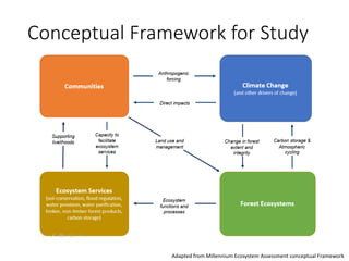 Conceptual Framework for Study
Adapted from Millennium Ecosystem Assessment conceptual Framework
 