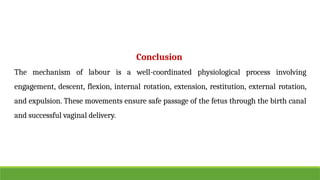 2 STAGE OF LABOUR Physiology (Mechanism of labour).pptx ( Ms. Shweta ...