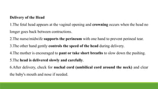 2 STAGE OF LABOUR Physiology (Mechanism of labour).pptx ( Ms. Shweta ...