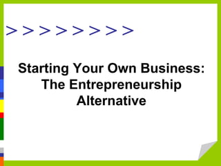 > > > > > > > >
Starting Your Own Business:
The Entrepreneurship
Alternative
 