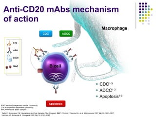 CDC 1-3 ADCC 1-3 Apoptosis 1-3 Anti-CD20 mAbs mechanism  of action 1 Bello C, Sotomayor EM.  Hematology Am Soc Hematol Educ Program ;  2007 : 233–242;  2 Glennie MJ, et al.  Mol Immunol  2007;  44 (16): 3823–3837; 3 Jazirehi AR, Bonavida B.  Oncogene  2005;  24 (13): 2121–2143 ADCC=antibody-dependent cellular cytotoxicity;  CDC=complement-dependent cytotoxicity; MAC=membrane attack complex C1q mAb CD20  B cell MAC Macrophage 