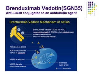 Brenduximab Vedotin(SGN35)  Anti-CD30 conjugated to an antitubulin agent 