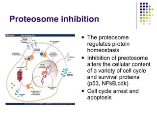 Proteosome inhibition The proteosome regulates protein homeostasis Inhibition of preotosome alters the cellular content of a variety of cell cycle and survival proteins (p53, NFkB,cdk)  Cell cycle arrest and apoptosis 