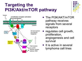 Targeting the  PI3K/Akt/mTOR pathway The PI3K/AKT/mTOR pathway receives signals from several receptors regulates cell growth, proliferation, angiogenesis and cell survival It is active in several lymphoma cell lines constitutive receptor activation survival factors 