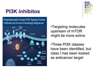 PI3K inhibitos Targeting molecules upstream of mTOR might be more active  Three PI3K classes have been identified, but class I has been looked as anticancer target 