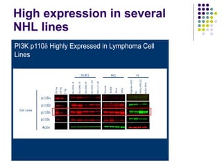 High expression in several NHL lines 