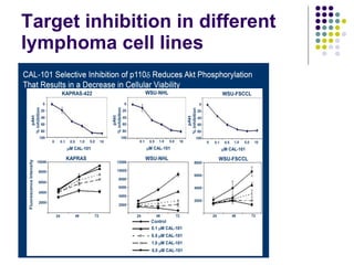 Target inhibition in different lymphoma cell lines 