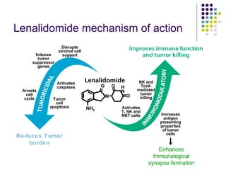 Reduces Tumor   burden Lenalidomide mechanism of action Activates T, NK and NKT cells NK and Tcell- mediated tumor killing Increases antigen presenting properties of tumor cells Arrests cell cycle Induces tumor suppressor genes Tumor cell apoptosis Activates caspases Disrupts stromal cell support Enhances Immunological synapse formation 