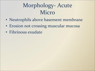 Morphology- Acute Micro Neutrophils above basement membrane Erosion not crossing muscular mucosa Fibrinous exudate 