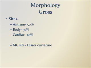Morphology Gross Sites-  Antrum- 50% Body- 30% Cardiac- 20% MC site- Lesser curvature 