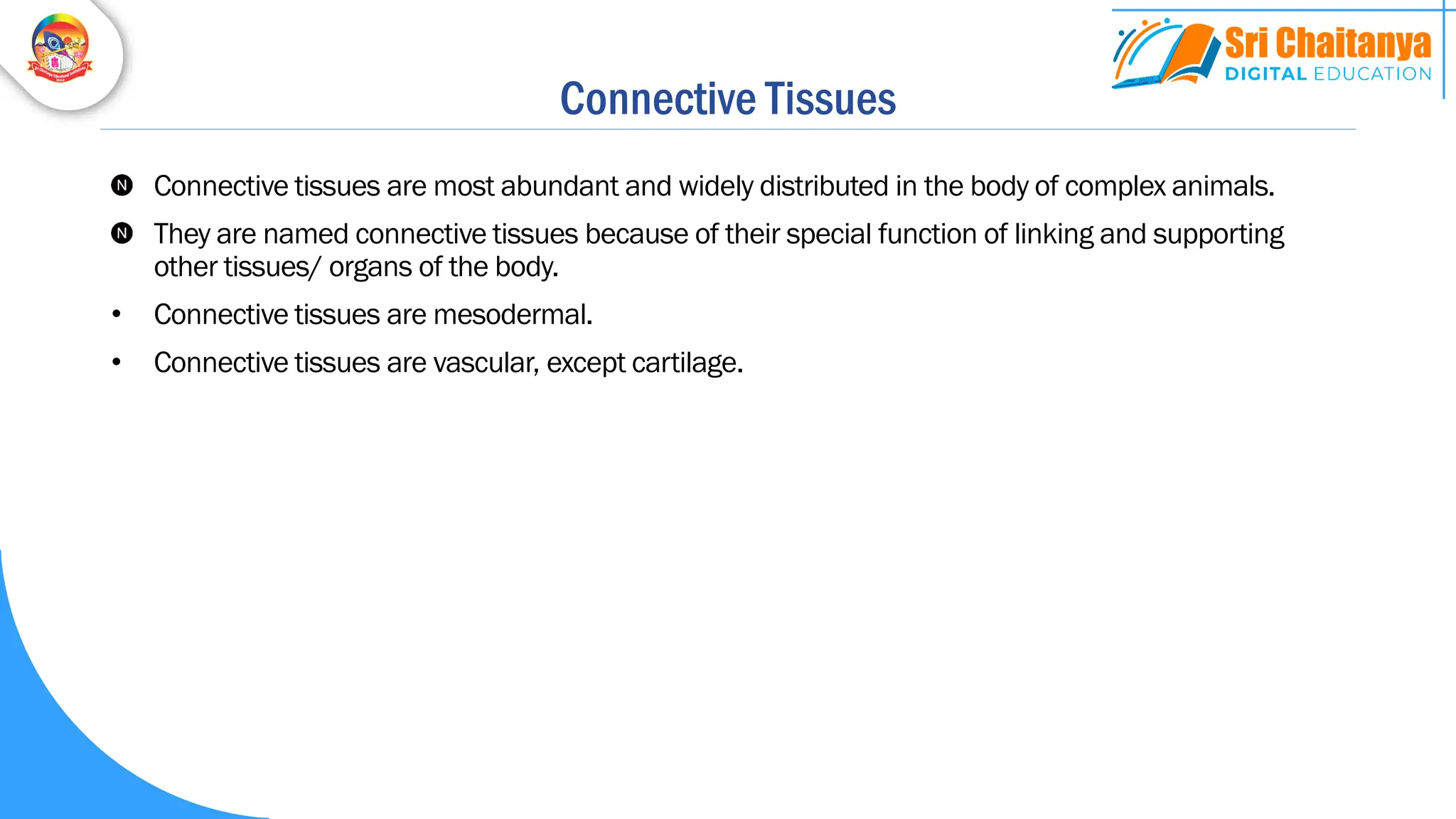 Connective Tissues
Connective tissues are most abundant and widely distributed in the body of complex animals.
They are named connective tissues because of their special function of linking and supporting
other tissues/ organs of the body.
• Connective tissues are mesodermal.
• Connective tissues are vascular, except cartilage.
 
