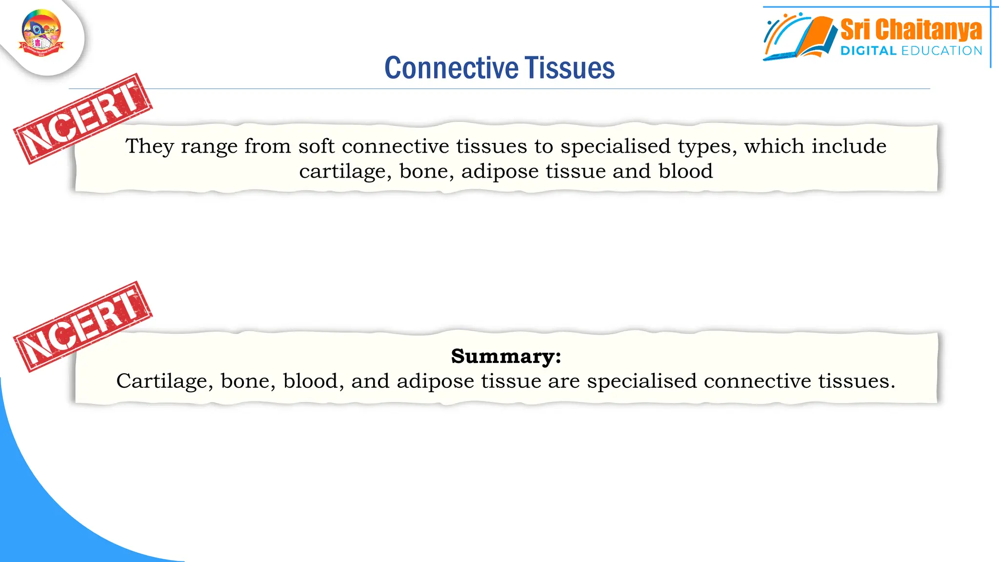 Connective Tissues
They range from soft connective tissues to specialised types, which include
cartilage, bone, adipose tissue and blood
Summary:
Cartilage, bone, blood, and adipose tissue are specialised connective tissues.
 
