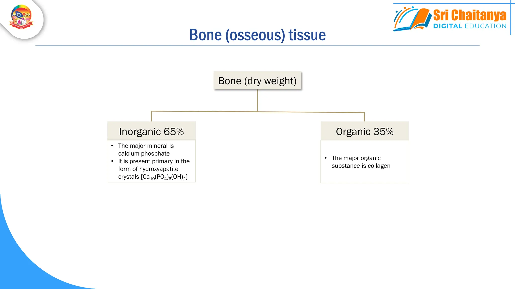 Bone (osseous) tissue
Inorganic 65% Organic 35%
Bone (dry weight)
• The major mineral is
calcium phosphate
• It is present primary in the
form of hydroxyapatite
crystals [Ca10(PO4)6(OH)2]
• The major organic
substance is collagen
 