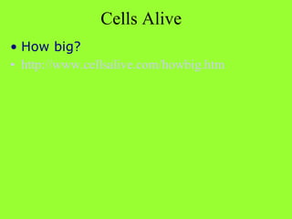 [object Object],[object Object],Cells Alive 