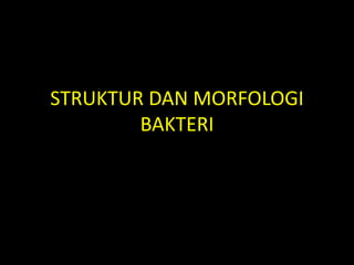 STRUKTUR DAN MORFOLOGI
BAKTERI
 