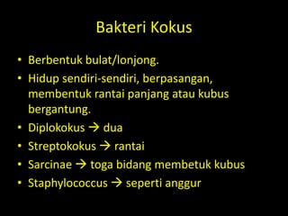 Bakteri Kokus
• Berbentuk bulat/lonjong.
• Hidup sendiri-sendiri, berpasangan,
membentuk rantai panjang atau kubus
bergantung.
• Diplokokus  dua
• Streptokokus  rantai
• Sarcinae  toga bidang membetuk kubus
• Staphylococcus  seperti anggur
 