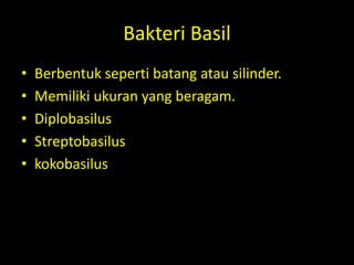 Bakteri Basil
• Berbentuk seperti batang atau silinder.
• Memiliki ukuran yang beragam.
• Diplobasilus
• Streptobasilus
• kokobasilus
 