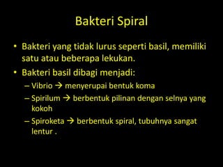Bakteri Spiral
• Bakteri yang tidak lurus seperti basil, memiliki
satu atau beberapa lekukan.
• Bakteri basil dibagi menjadi:
– Vibrio  menyerupai bentuk koma
– Spirilum  berbentuk pilinan dengan selnya yang
kokoh
– Spiroketa  berbentuk spiral, tubuhnya sangat
lentur .
 