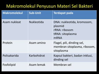Makromolekul Penyusun Materi Sel Bakteri
Makromolekul Sub-Unit Terdapat pada
Asam nukleat Nukleotida DNA: nukleotida, kromosom,
plasmid
rRNA: ribosom
tRNA: sitoplasma
mRNA
Protein Asam amino Flagel, pili, dinding sel,
membran sitoplasma, ribosom,
sitoplasma
Polisakarida Karbohidrat Kapsul bakteri, badan inklusi,
dinding sel
Fosfolipid Asam lemak Membran sel
 
