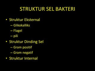 STRUKTUR SEL BAKTERI
• Struktur Eksternal
– Glikokalliks
– Flagel
– pili
• Struktur Dinding Sel
– Gram positif
– Gram negatif
• Struktur Internal
 