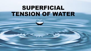 SUPERFICIAL
TENSION OF WATER
 