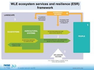 Sustainable Intensification of Agriculture with Sustainable Irrigated Agroecosystem Services