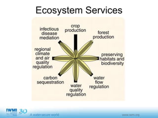 Sustainable Intensification of Agriculture with Sustainable Irrigated Agroecosystem Services