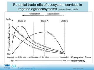 Sustainable Intensification of Agriculture with Sustainable Irrigated Agroecosystem Services