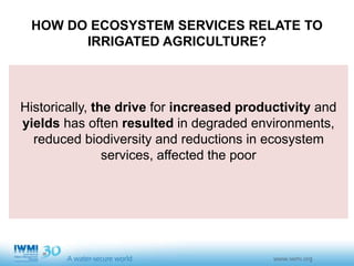Sustainable Intensification of Agriculture with Sustainable Irrigated Agroecosystem Services