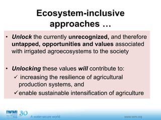 Sustainable Intensification of Agriculture with Sustainable Irrigated Agroecosystem Services