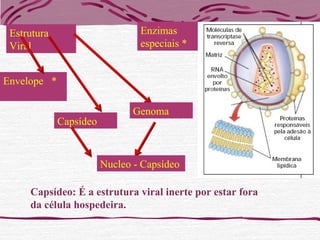 Estrutura
Viral
Capsídeo
Genoma
Enzimas
especiais *
Nucleo - Capsídeo
Envelope *
Capsídeo: É a estrutura viral inerte por estar fora
da célula hospedeira.
 