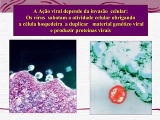 A Ação viral depende da invasão celular:
Os vírus sabotam a atividade celular obrigando
a célula hospedeira a duplicar material genético viral
e produzir proteínas virais
 
