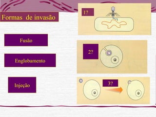Formas de invasão
Fusão
Injeção
Englobamento
1?
2?
3?
 