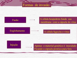 Formas de invasão
Fusão
Injeção Apenas o material genético é inoculado
Ficando a cápsula protéica para fora
A célula hospedeira funde sua
membrana com a cápsula do vírus
Englobamento A célula fagocita o vírus
 